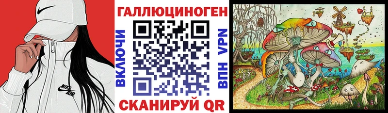 Галлюциногенные грибы Cubensis  Суворов 